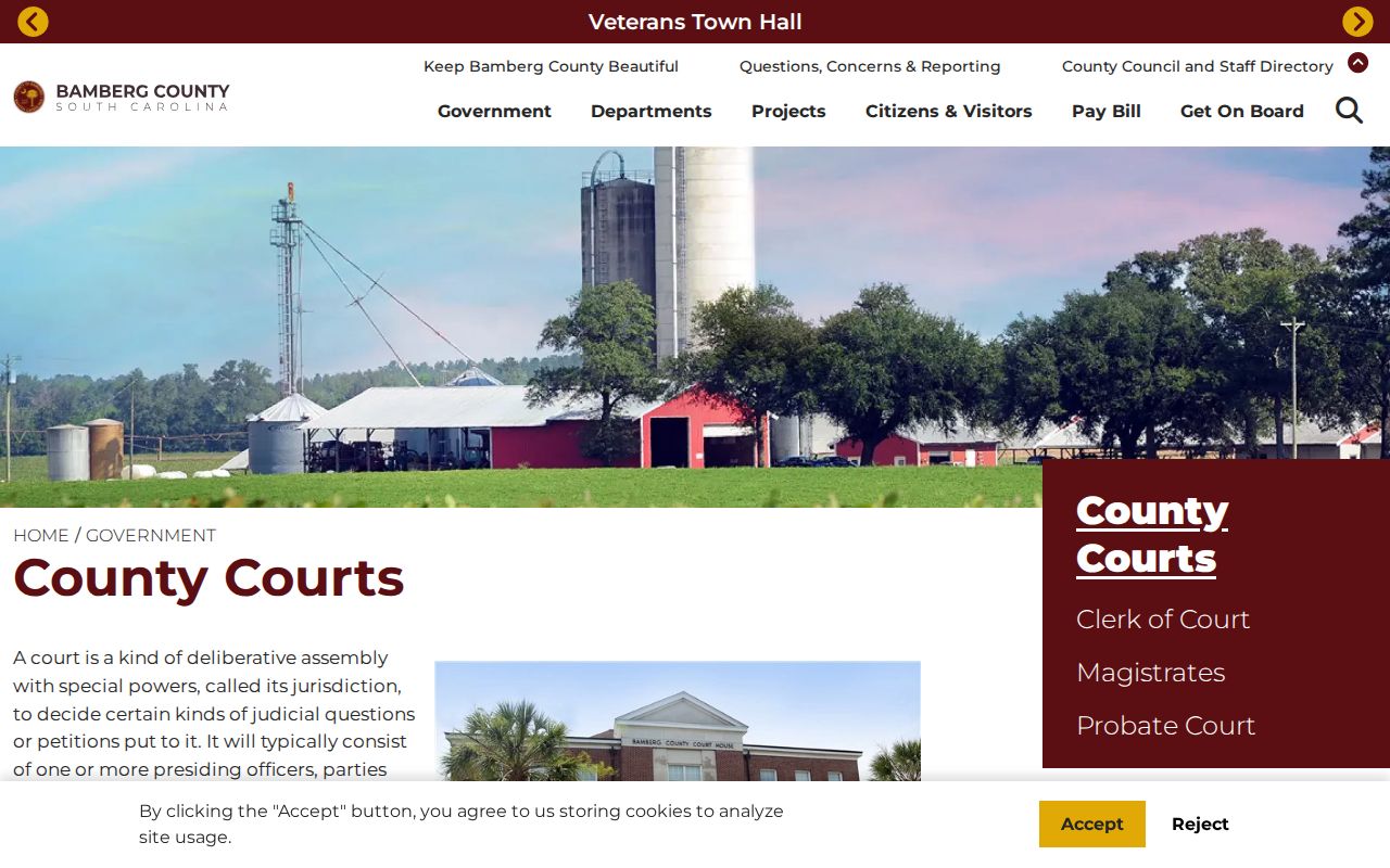 Bamberg County criminal record court access notice